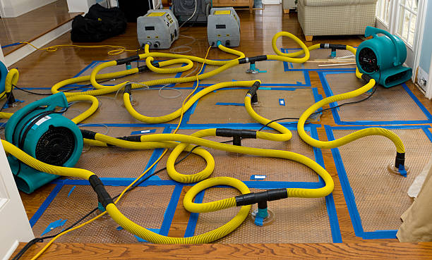 Professional Sewage Cleanup technician working in Worthington, MN